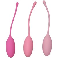 KEGEL EXERCISE SYSTEM